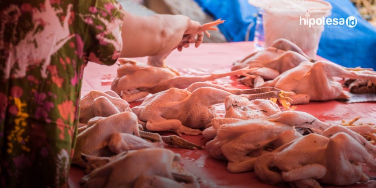 Foto Penjual Daging Ayam Segar - hipotesa.id